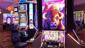 bets